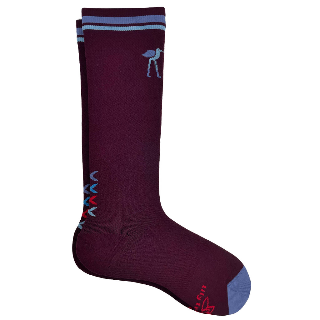 Compression Socks for Women  Fun, Fashionable, and Comfy – Lily Trotters