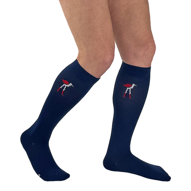 P00084 - Modetro Compression Socks with Arch Support – Blue Gator  Liquidators