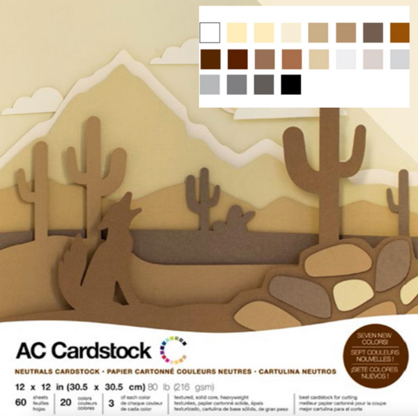 American Crafts 12x12 Solid White Textured Cardstock Pack {F206}