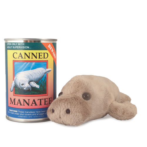 canned critters turtle