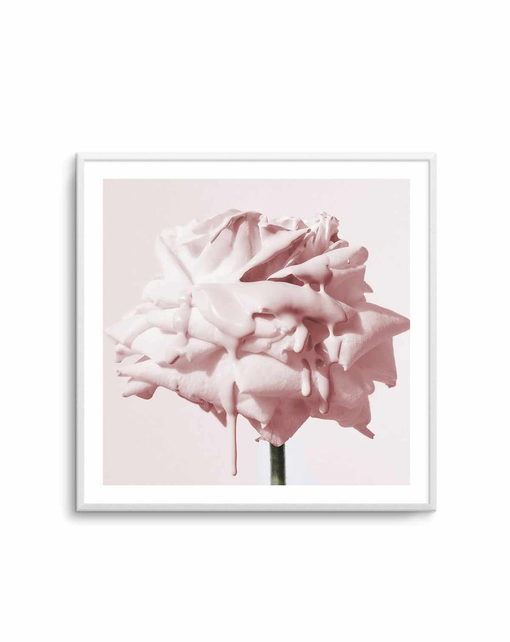 Blush Fashion Books On Pink Flower Wall - Art Print