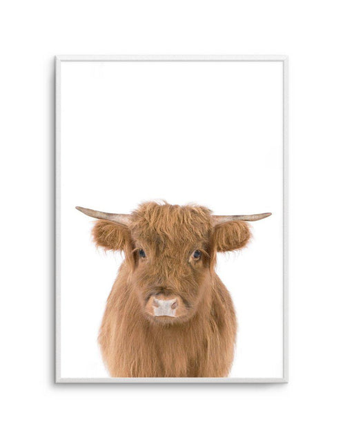 Highland Cow – beautiful poster wall art – Photowall