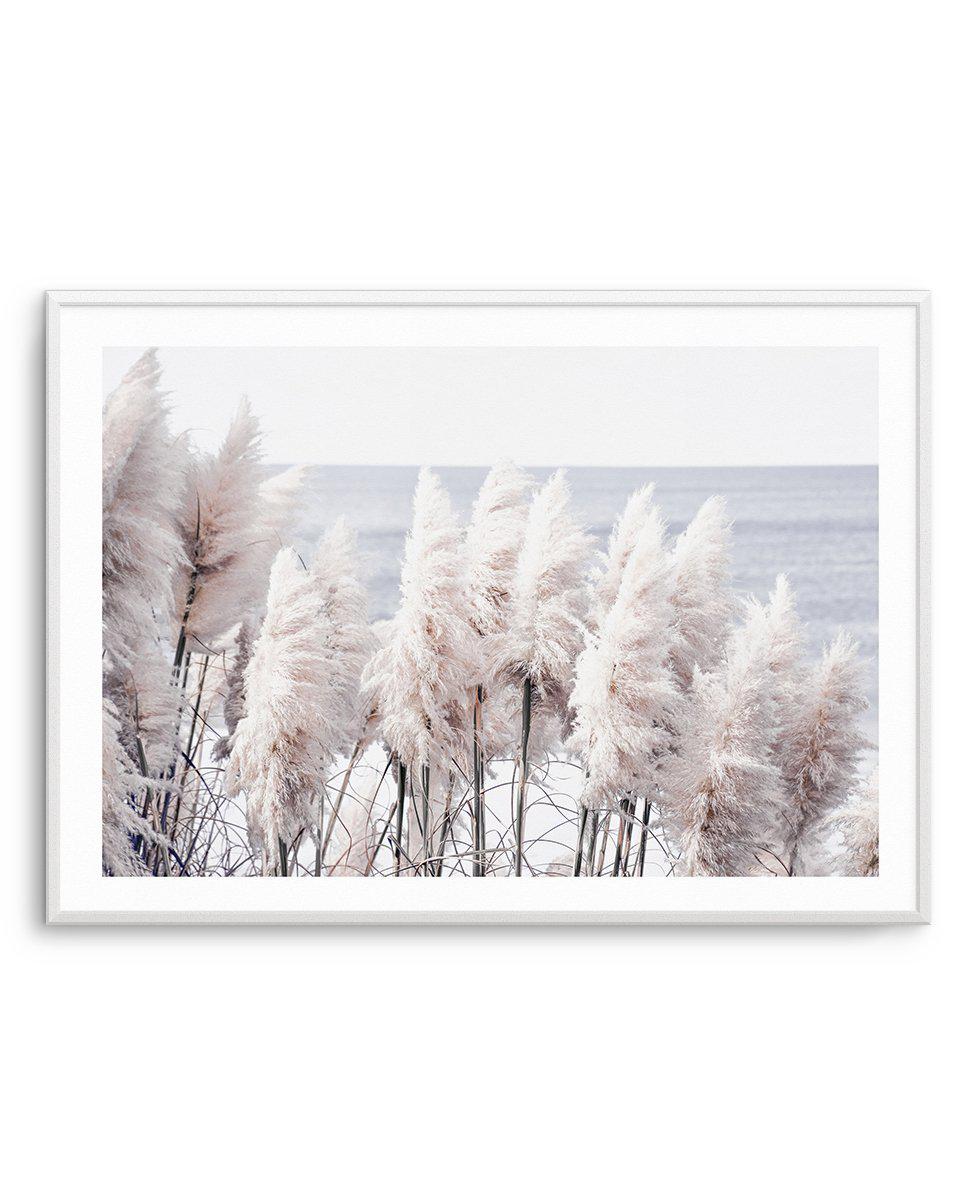 SHOP Pampas Grass Art Prints and Posters Online