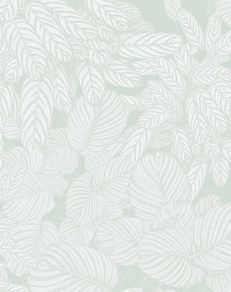 Sage Green Wallpaper Images  Free Photos PNG Stickers Wallpapers   Backgrounds  rawpixel