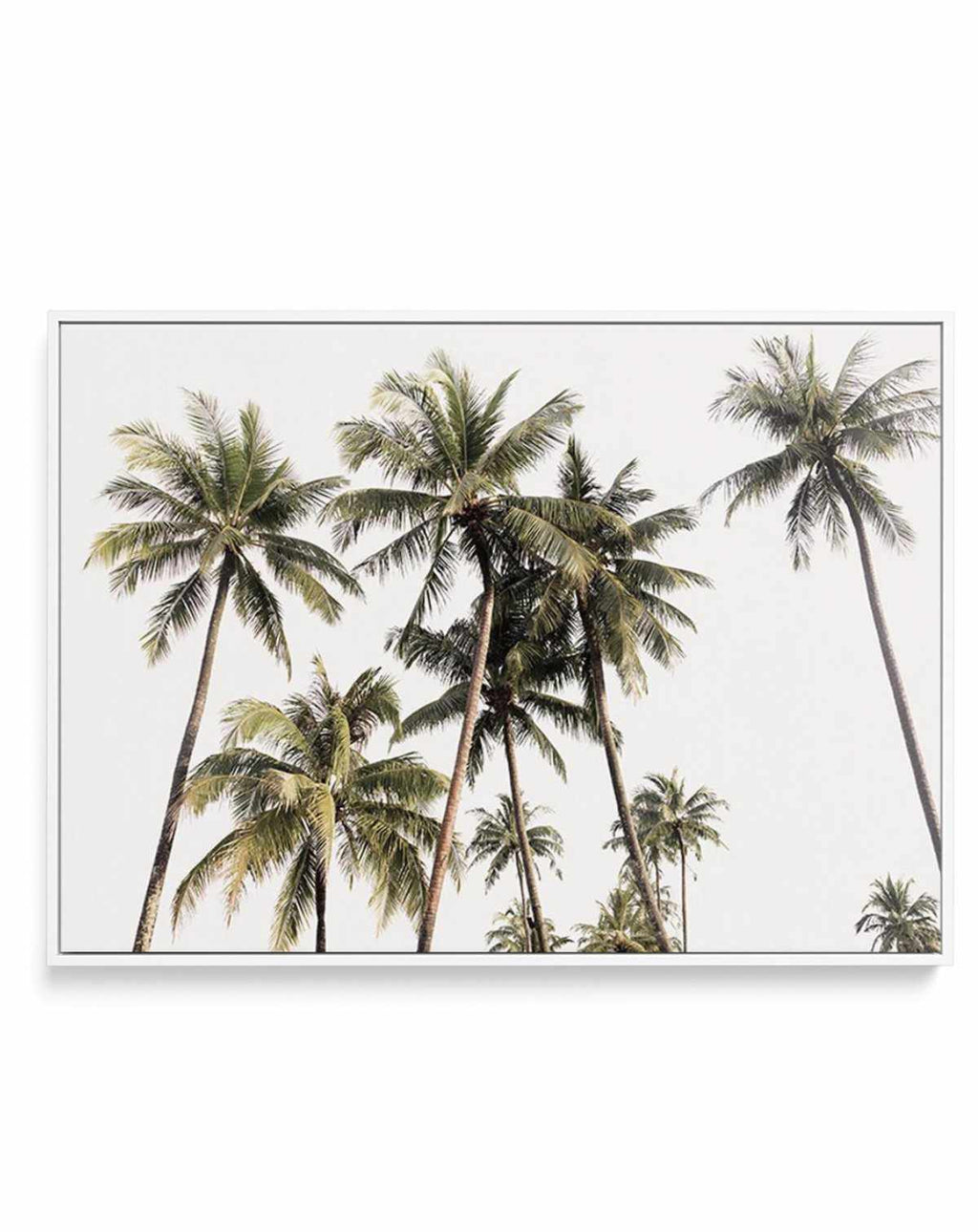 California Love, Palm Trees, Aqua Horizon (16x24 Giclee Gallery Art Print,  Vivid Textured Wall Decor) 