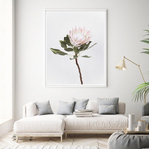 Vintage Protea - Olive et Oriel | Shop Art Prints & Posters Online