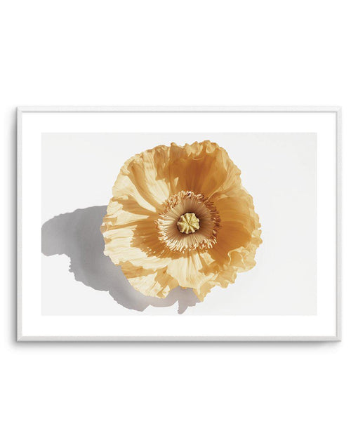 Yellow Poppy - Olive et Oriel | Shop Art Prints & Posters Online