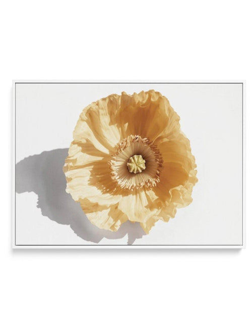 Yellow Poppy | Framed Canvas - Olive et Oriel