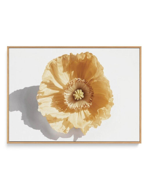 Yellow Poppy | Framed Canvas - Olive et Oriel