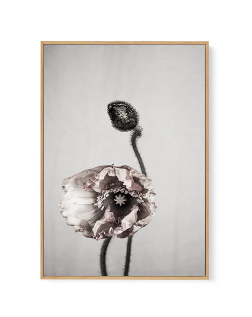 You're All I Need | Framed Canvas - Olive et Oriel