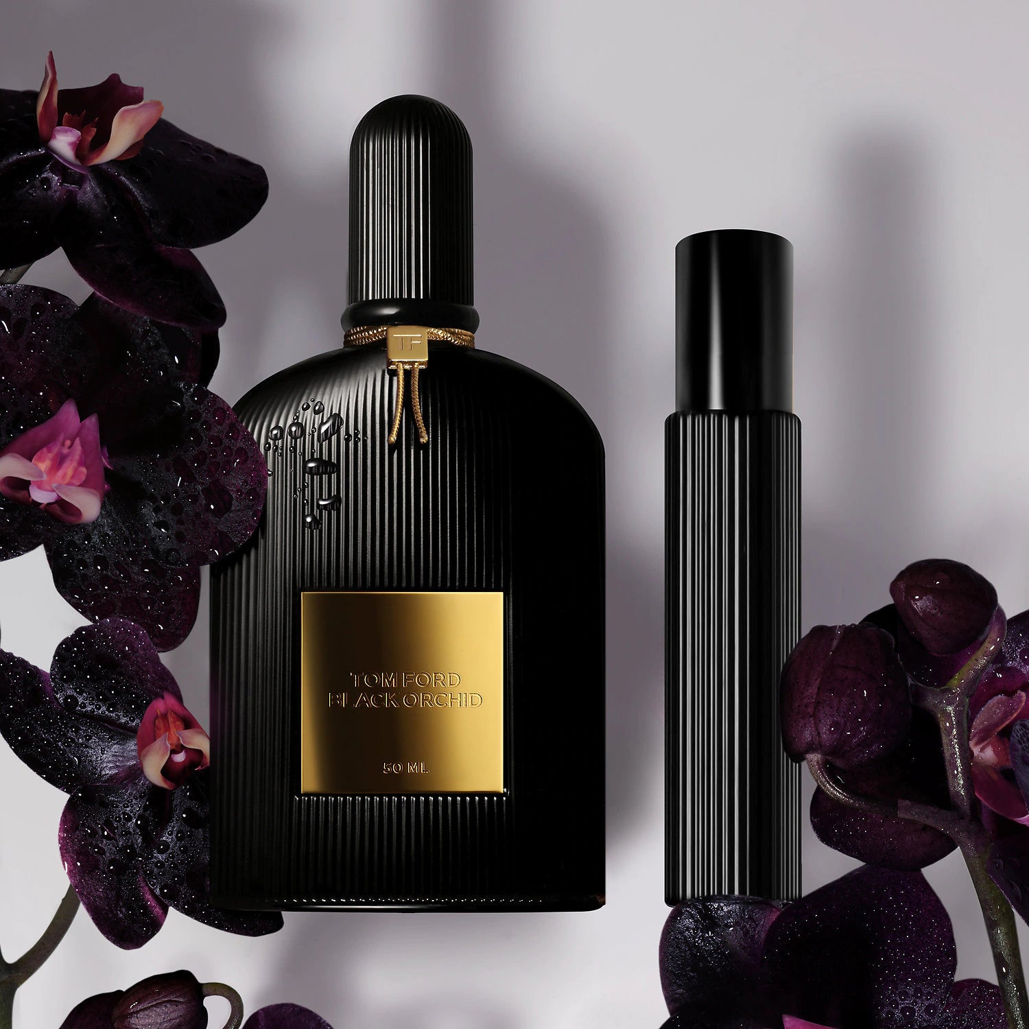 Tom Ford Black Orchid EDP 100ml | Above The Collar