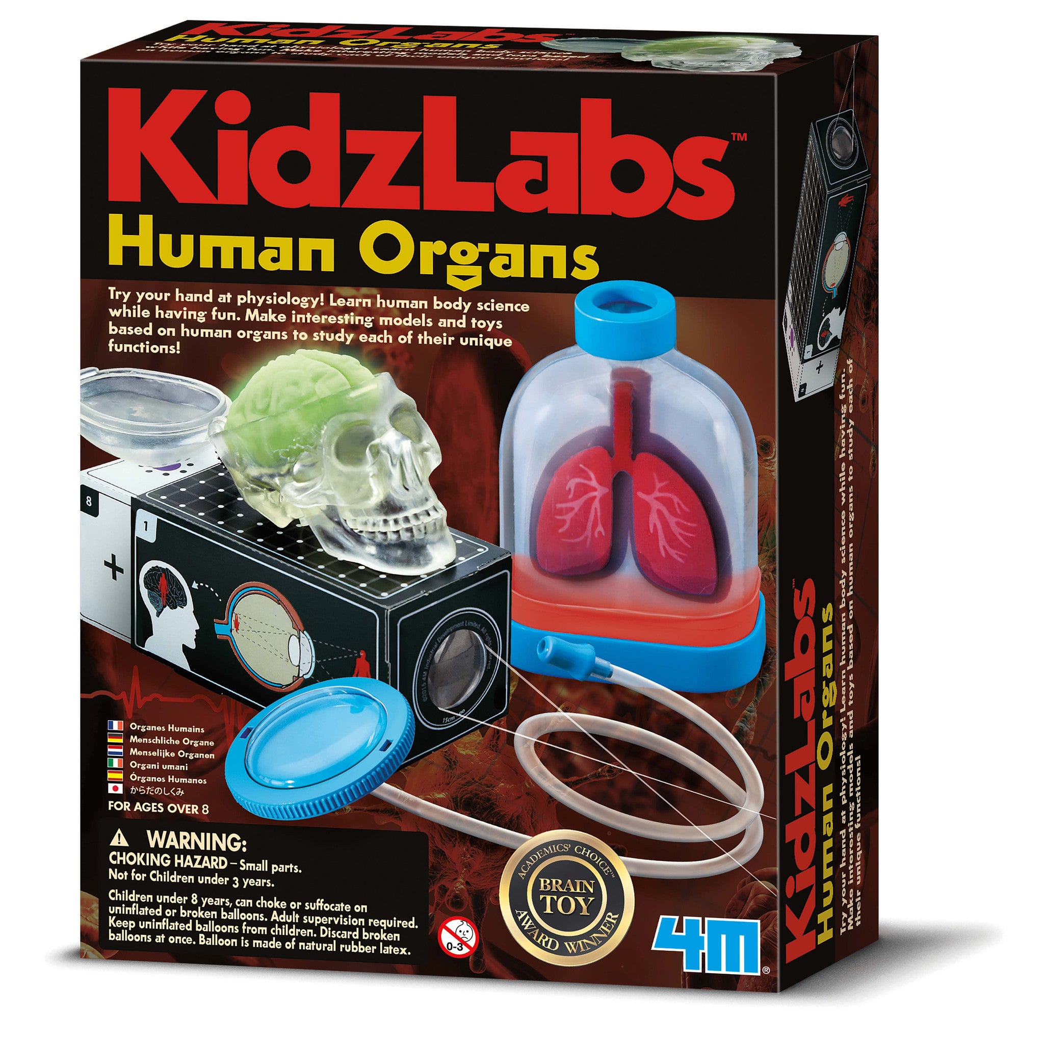 kidzlabs 4m