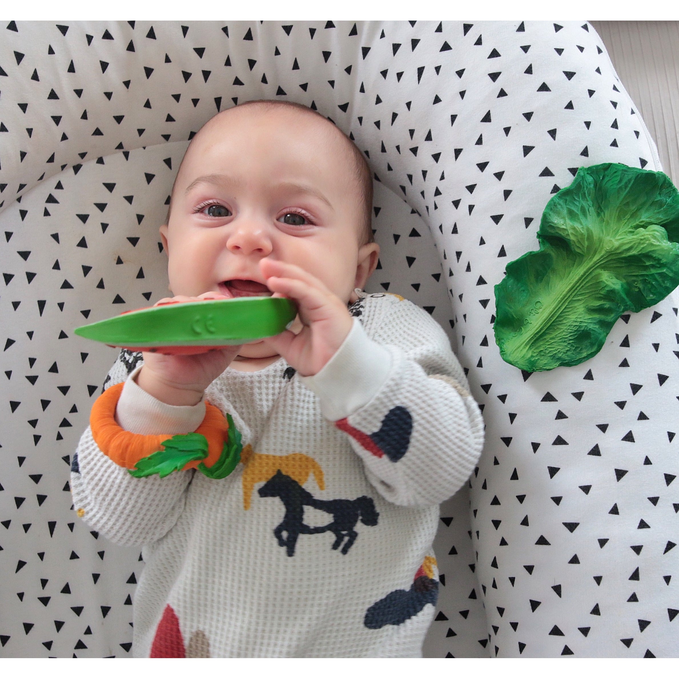 wally the watermelon teether