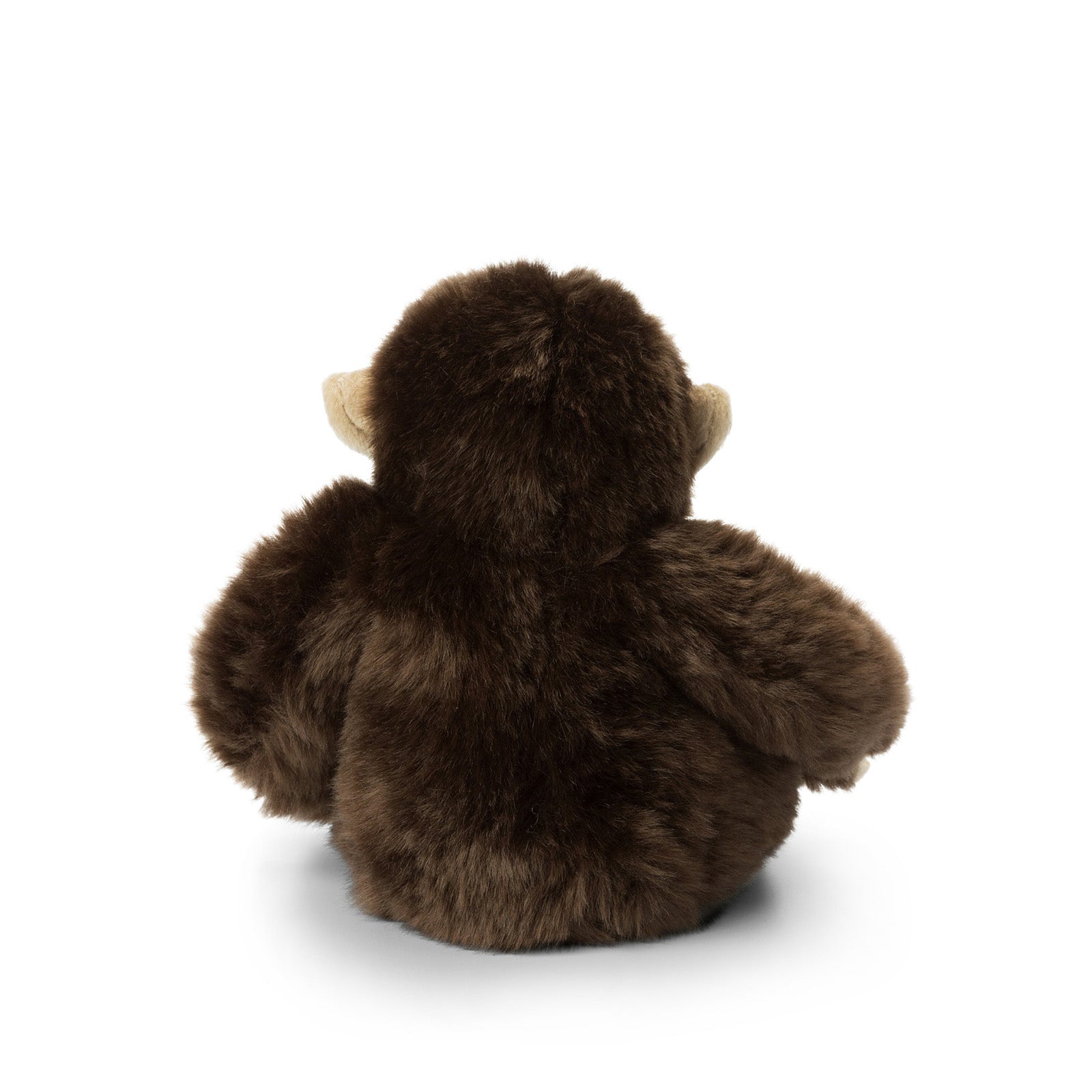 wwf teddy