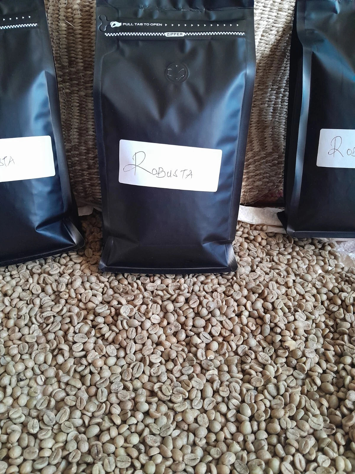 Ugandan Fresh raw / Un-roasted Green Robusta Coffee Beans