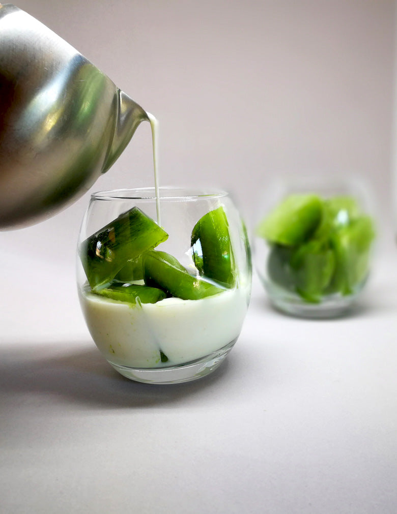 JustMatcha Latte Ice Cubes