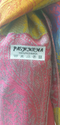 Women's Multi-Coloured 100% Pashmina Scarf