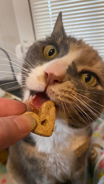 Betty loves Einstein Pets treats!