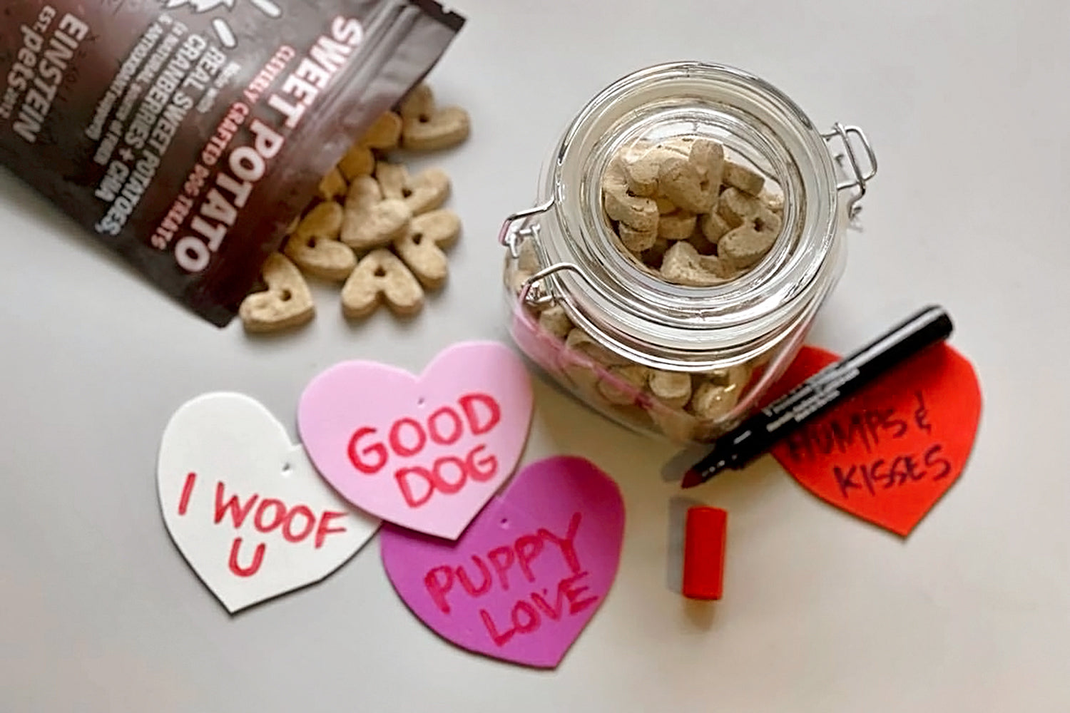 DIY dog treat jars for valentine's day - conversation hearts