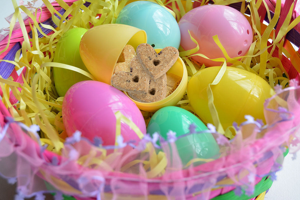 celebrate easter with Einstein Pets treats