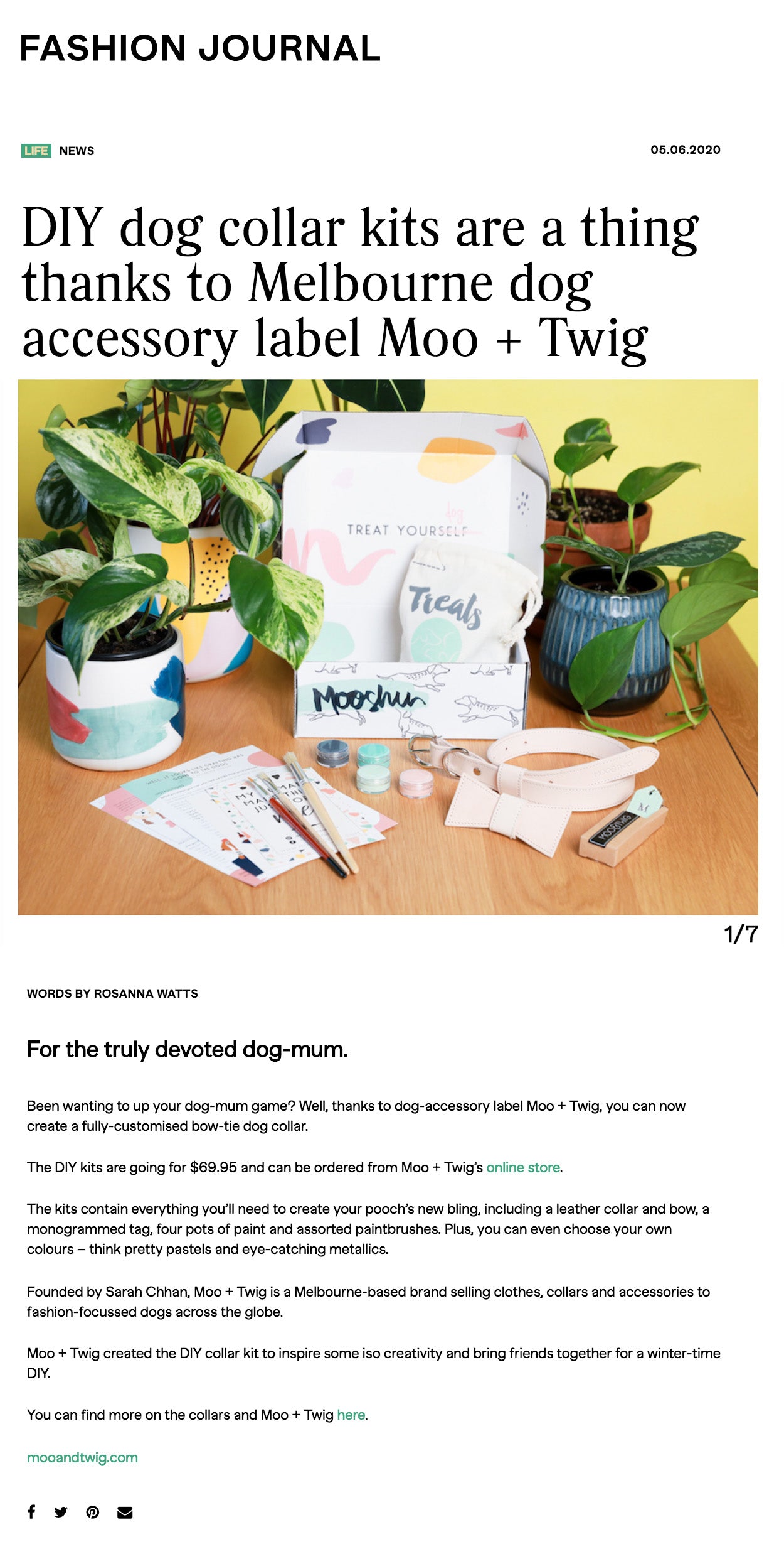 Fashion Journal Magazine - Moo + Twig DIY Dog Collar Kit