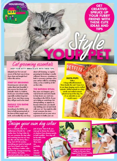 MOO+TWIG: New Idea Magazine, Dog Harnesses, Dog Collar, Dog Accesorries