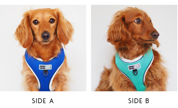 Dog Harness - Hi Visibility Safety 