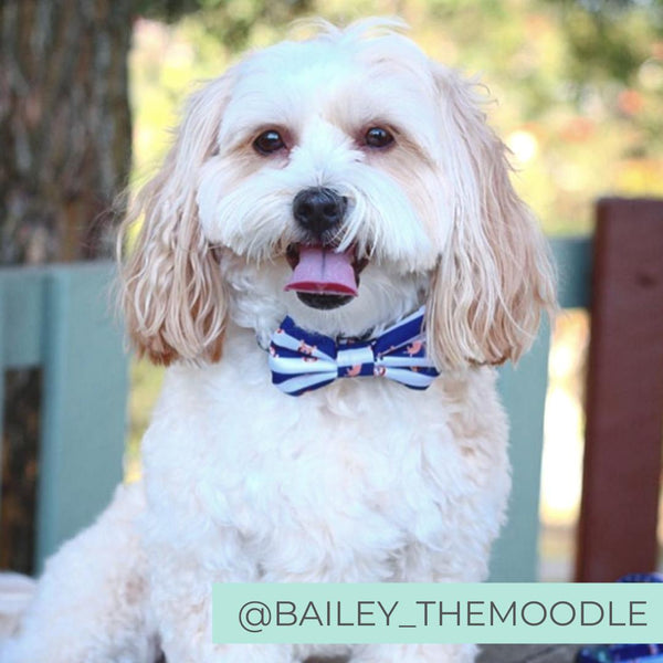 Dog Collar Bow Tie Dog Bow Tie Sock Monkey Bow Tie Sock Monkey Dog Bow Cute  Dog Bow Tie Sock Monkey Dog Bow Cute Dog Bow 