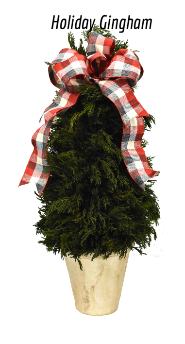 Emerald Cypress Cone Topiary 20 Click For Ribbon Selection