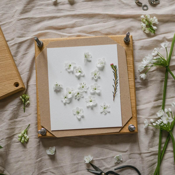 Small Flower Press by Blue Brontide Uk
