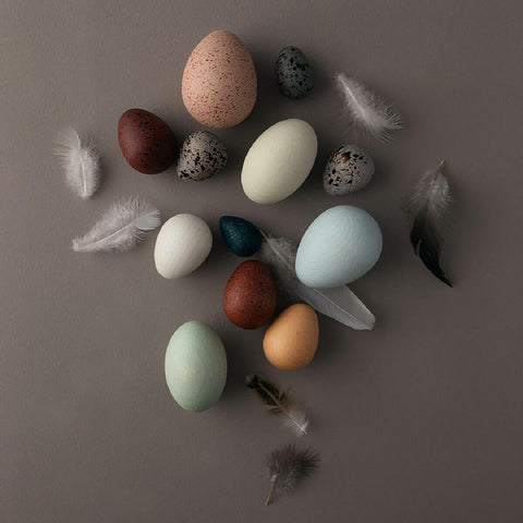 A Dozen Bird Eggs - Wooden Toy