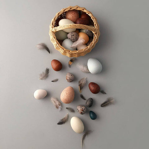 A Dozen Bird Eggs - Wooden Toy