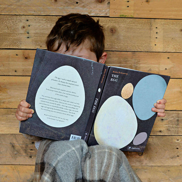 The egg children's book by britta teckentrup