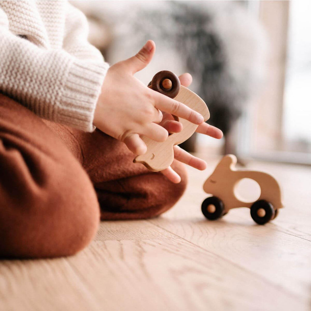 Wooden push along toy duck at blue brontide uk