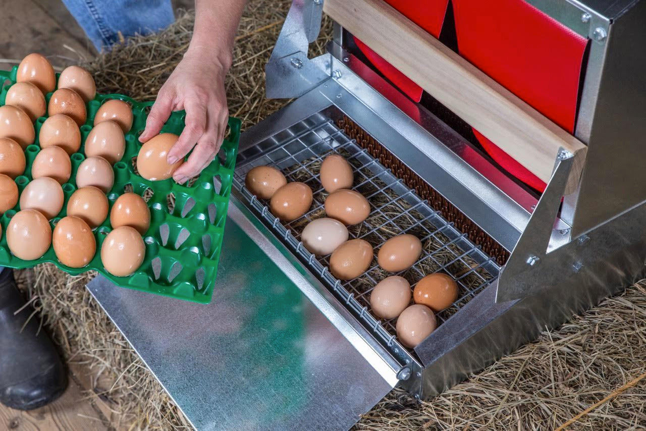 Poultry metal nest box with easy assembly