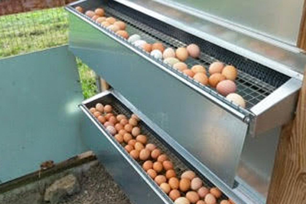 Reversible front or rear roll out chicken nest box
