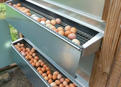 Over Easy Eggs - Beyond The Chicken Coop