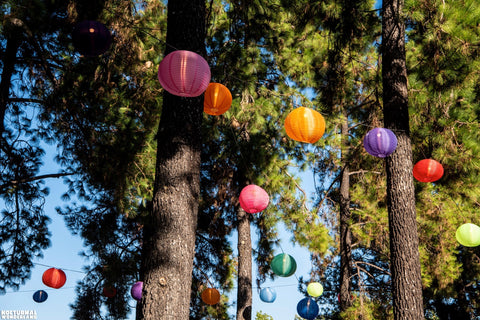 Nocturnal Wonderland Camping