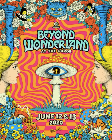 Beyond Wonderland at the Gorge