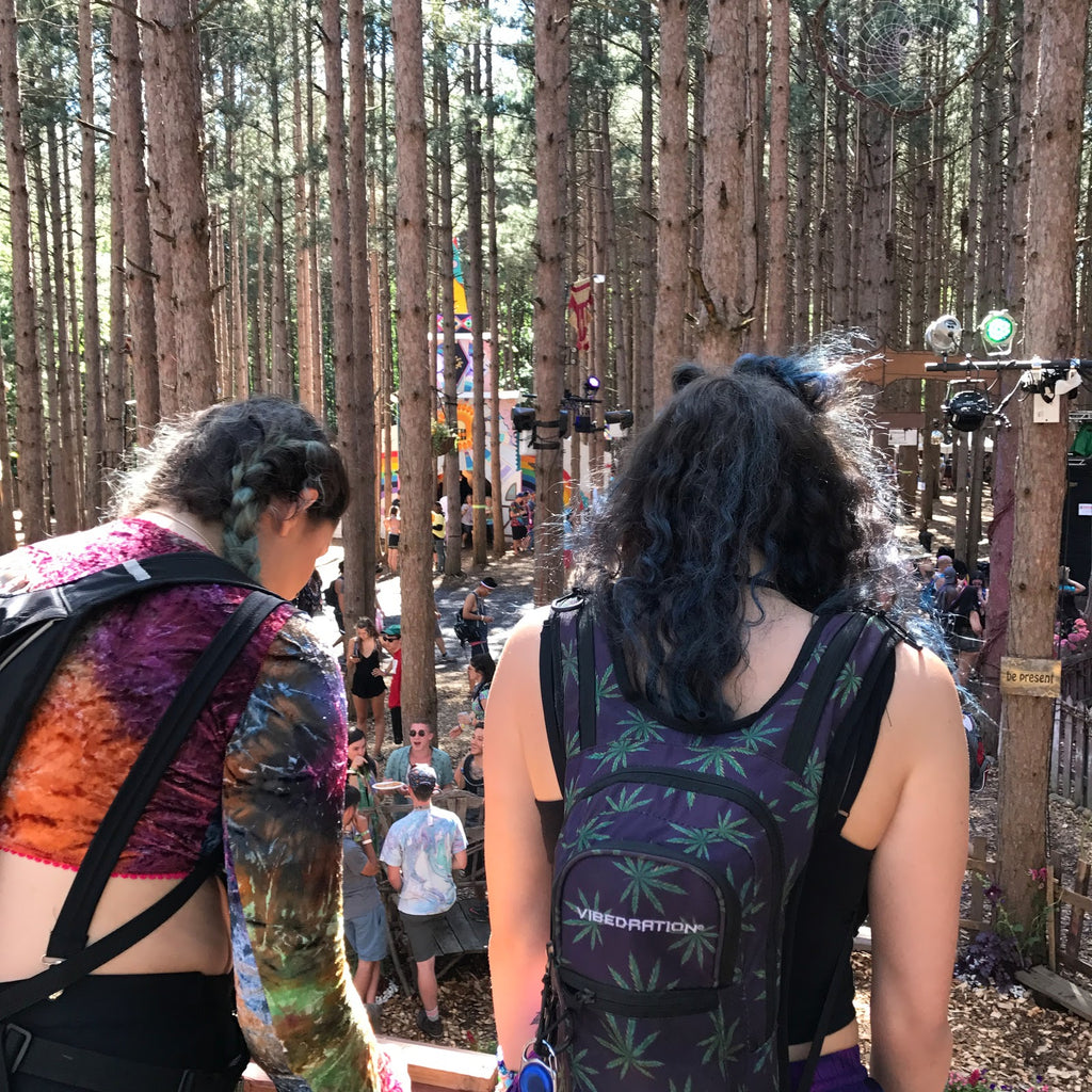 Exploring at Electric Forest