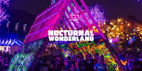 nocturnal wonderland colorful logo