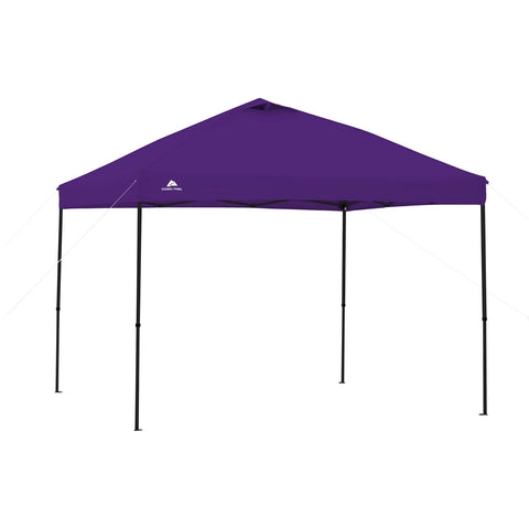 Purple Tent Canopy for Camping at Lightning in a Bottle
