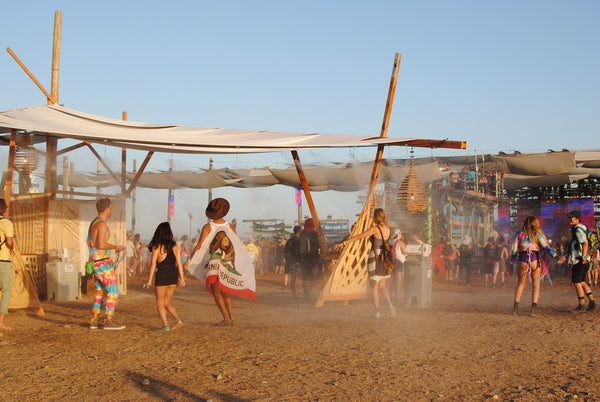 Attendees at Lightning in a Bottle Music Festival