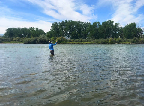 catch a fish bighorn river