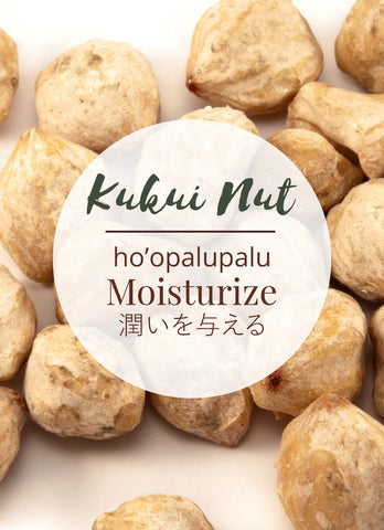Kukui Nuts are in Hanalei Moisturizing Body Lotion
