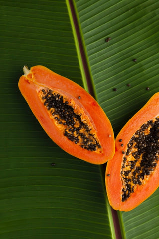 Enzymes from Papaya is Beneficial in Skincare