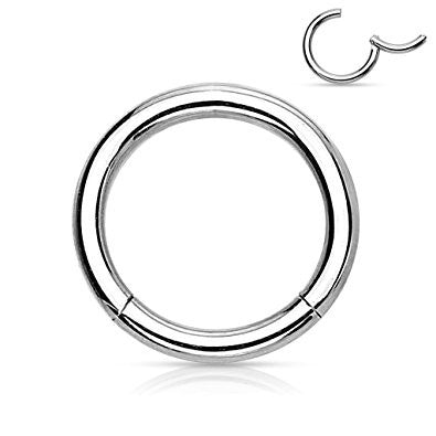 Pair of 316L Surgical Steel Hinged Segment WildKlass Rings - 14g 10mm / Silver