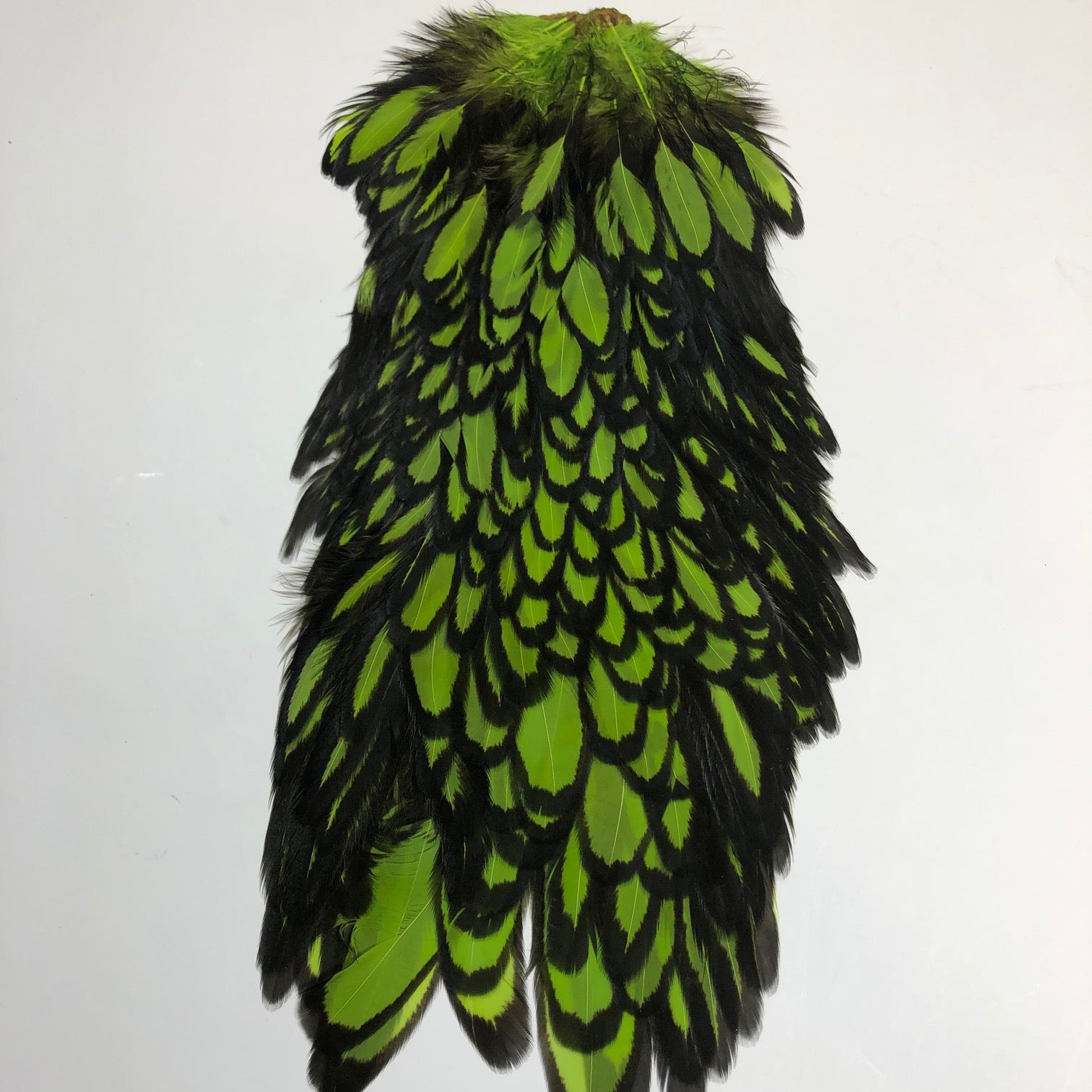 Blue Peacock Feathers - Wilkinson Fly Fishing LLC