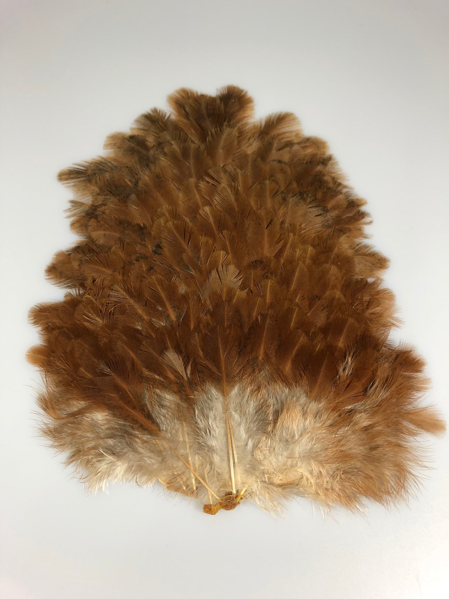 Hareline - Cinnamon Tip Turkey Tail Feathers