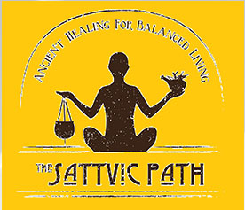 logo sattvick path